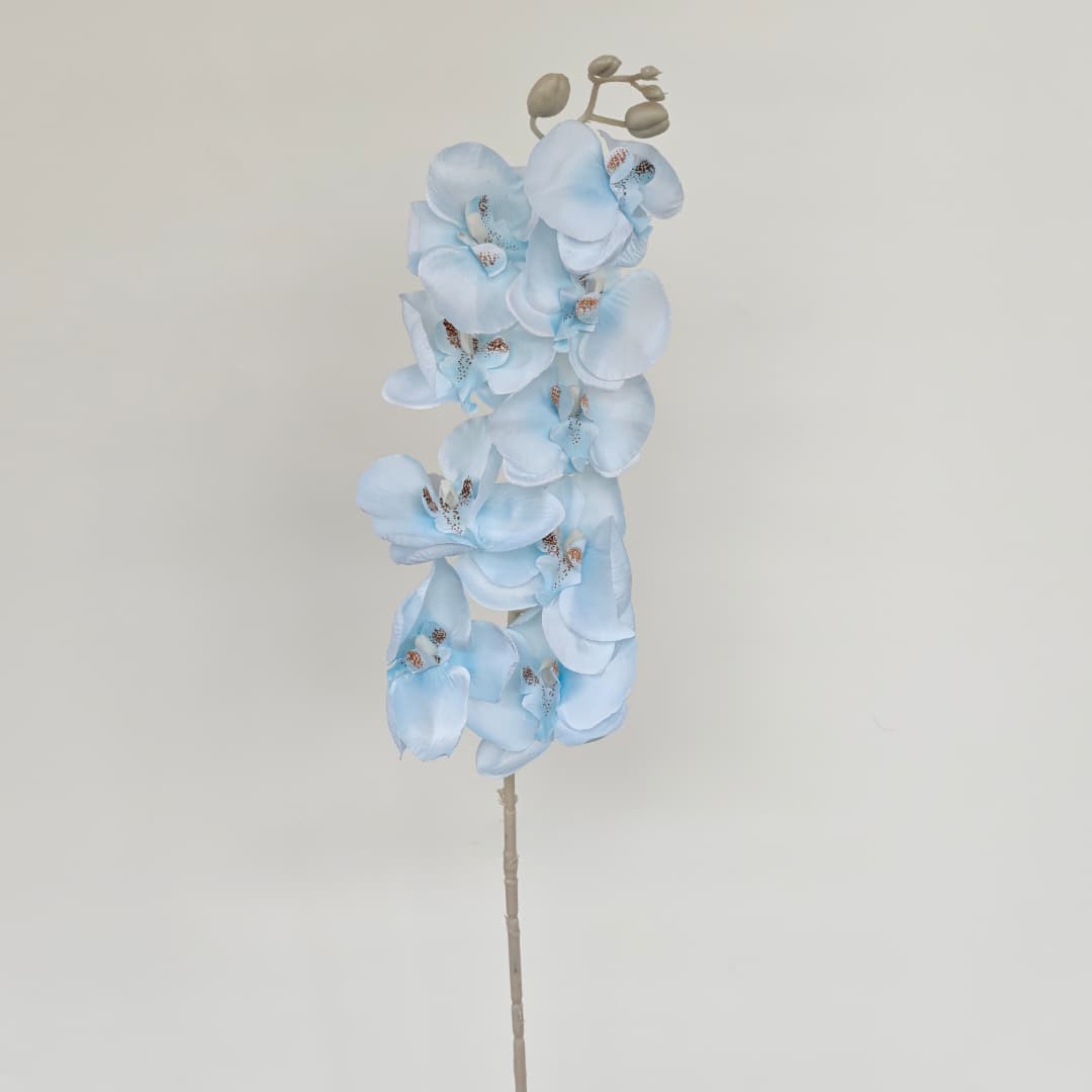 Butterfly Orchid x 9 (92cm) | Tall Flowers