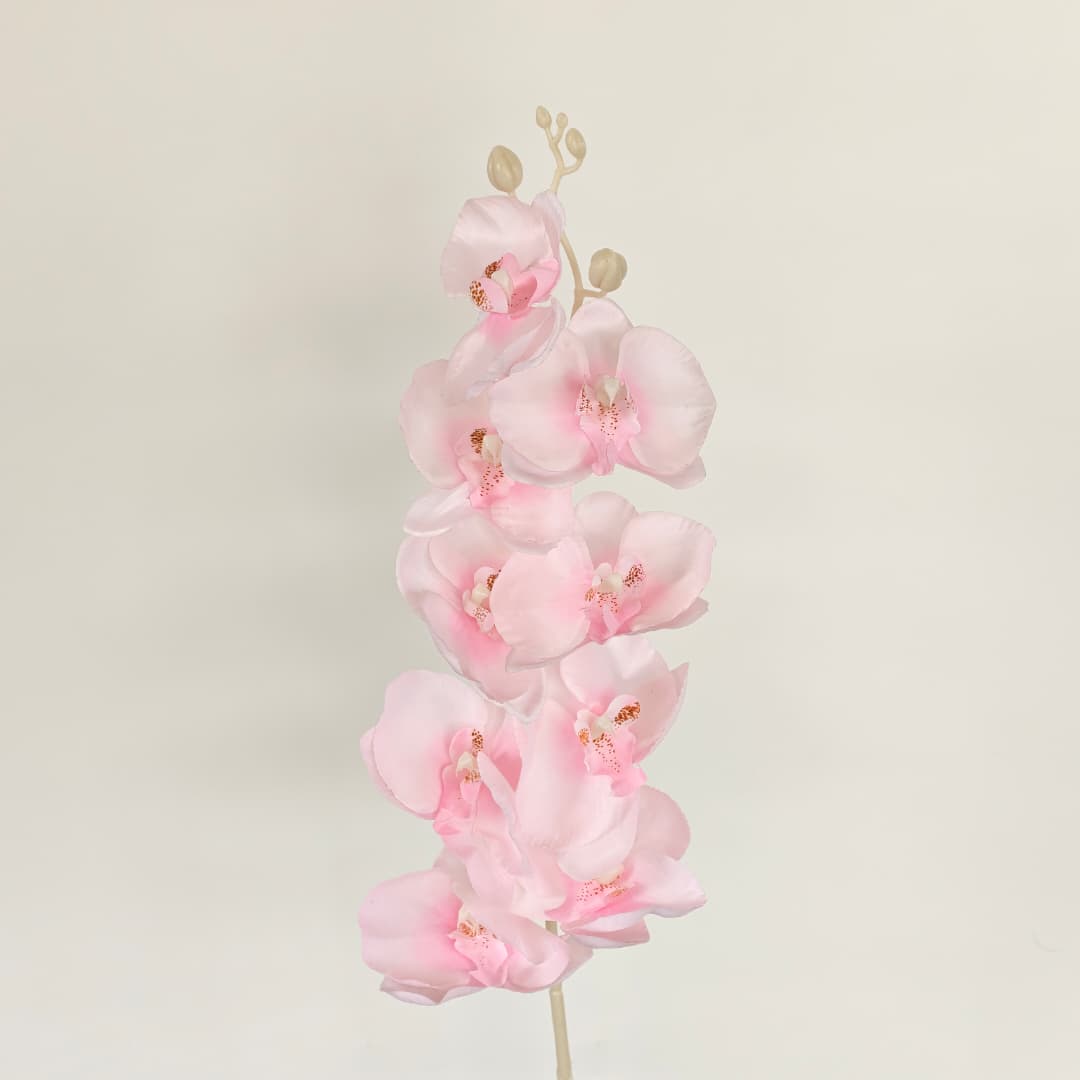 Butterfly Orchid x 9 (92cm) | Tall Flowers