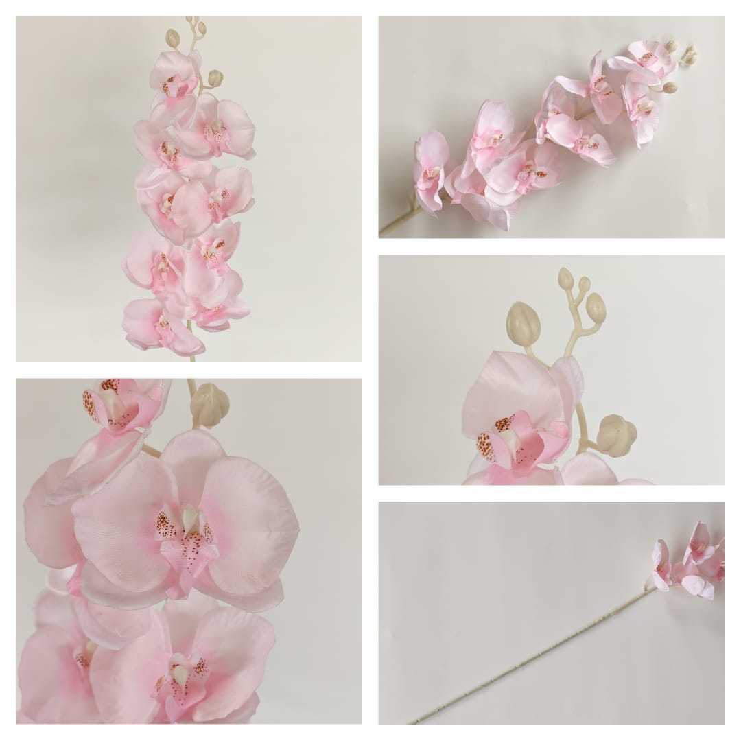 Butterfly Orchid x 9 (92cm) | Tall Flowers