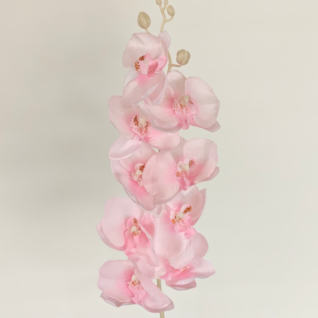 Butterfly Orchid x 9 (92cm) | Tall Flowers