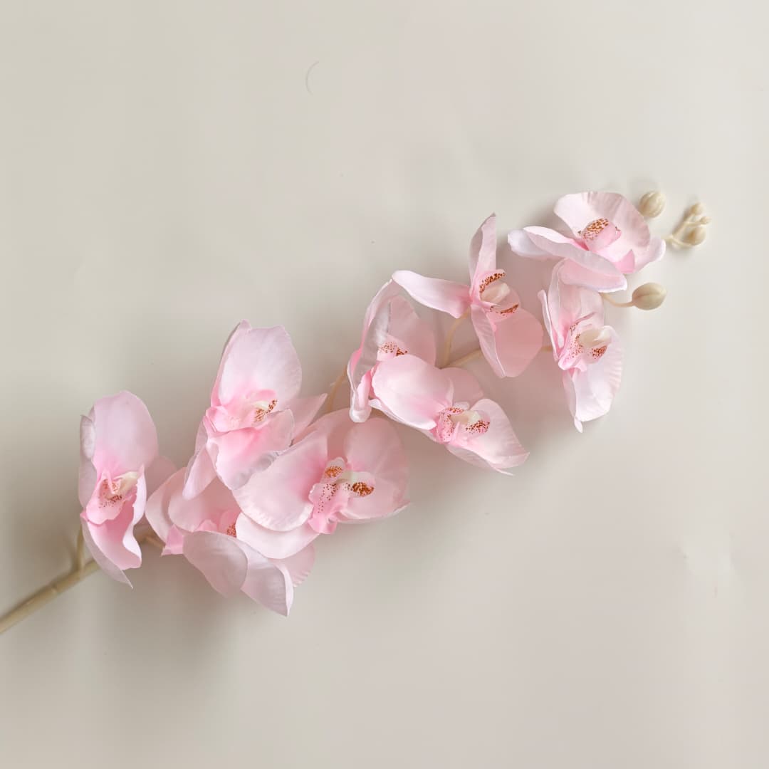 Butterfly Orchid x 9 (92cm) | Tall Flowers