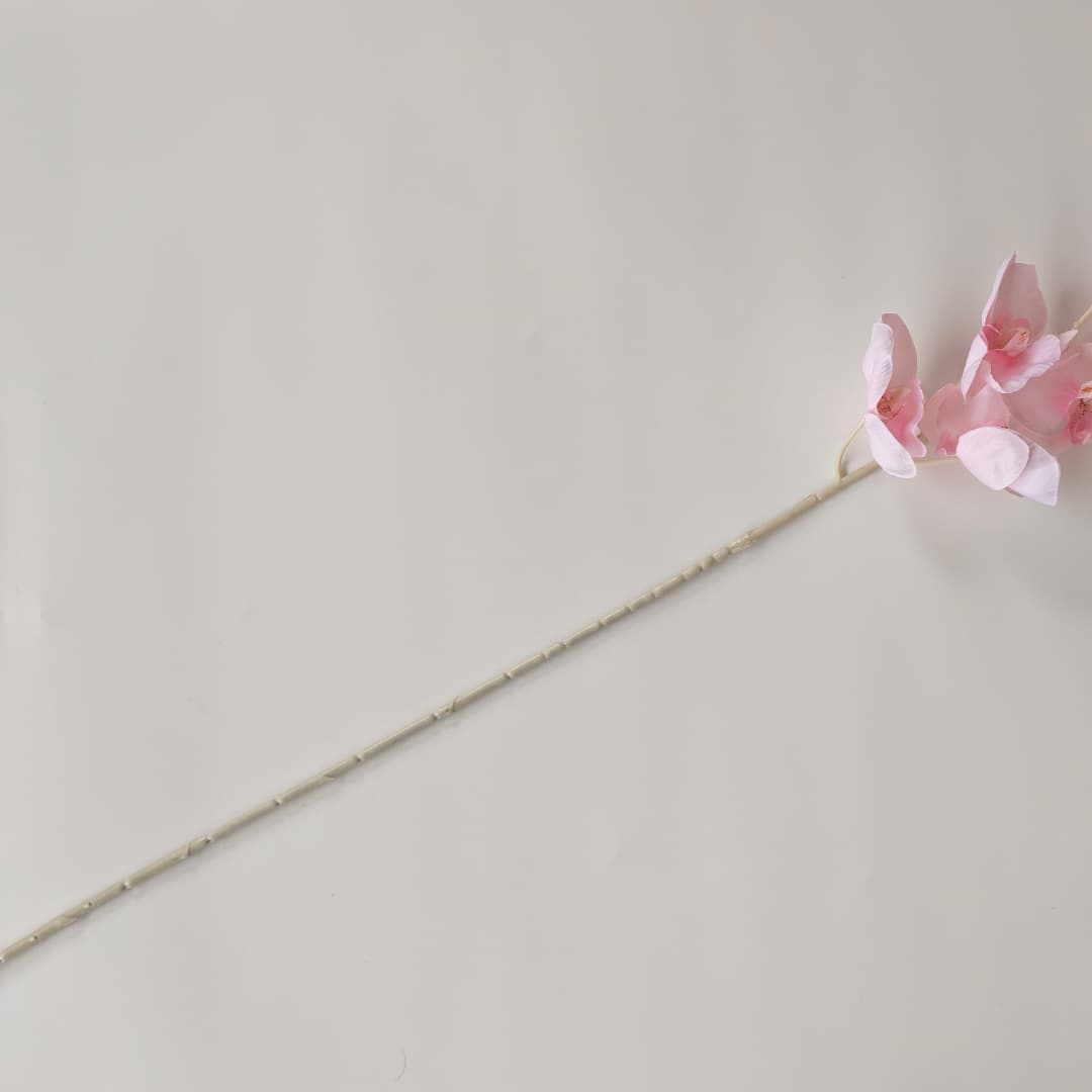 Butterfly Orchid x 9 (92cm) | Tall Flowers