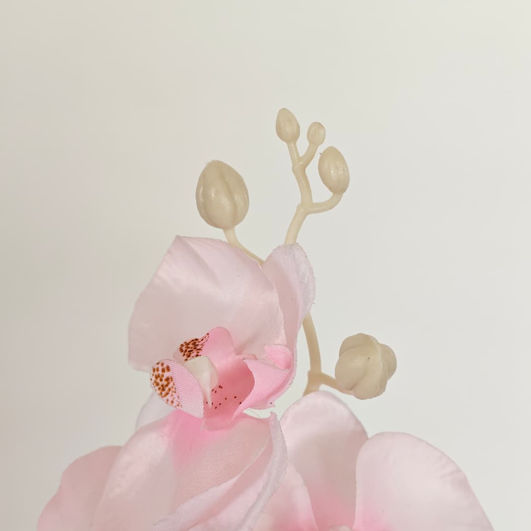Butterfly Orchid x 9 (92cm) | Tall Flowers