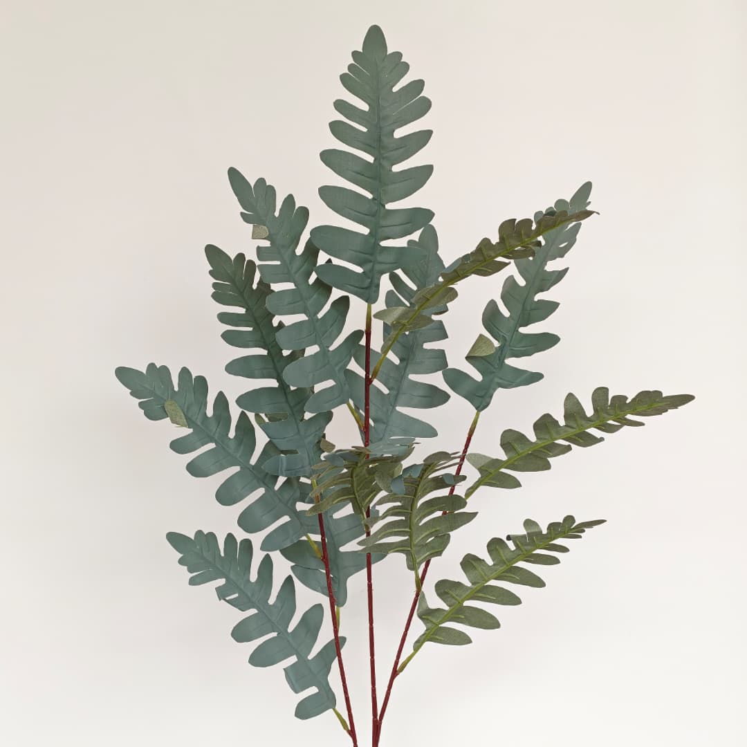 Platycladus Orientalis 柏叶 x 3 (98cm) | Tall Flowers