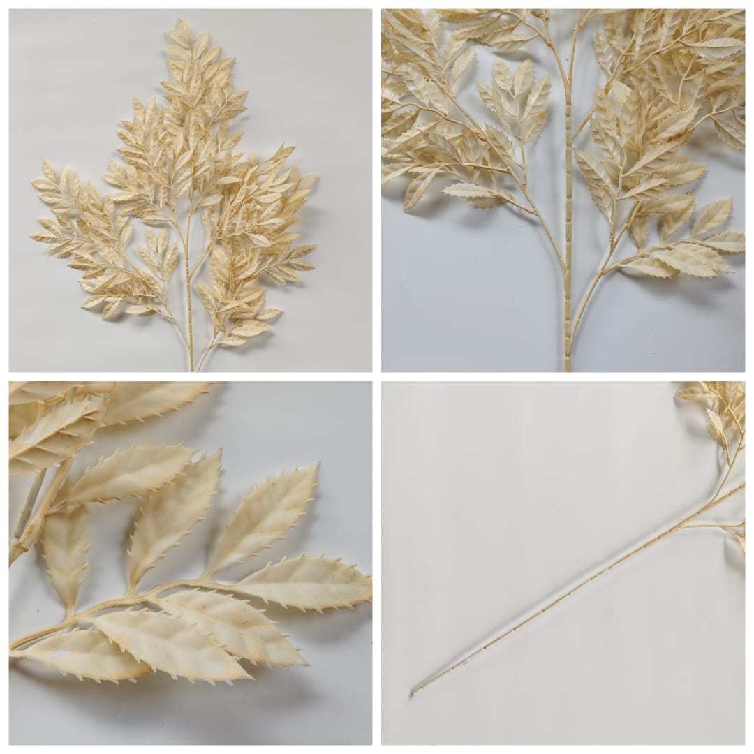 Leaves x 5 (104cm)-Champagne | Tall Flowers