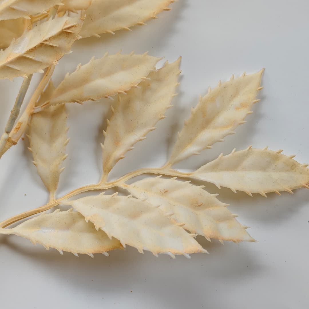 Leaves x 5 (104cm)-Champagne | Tall Flowers