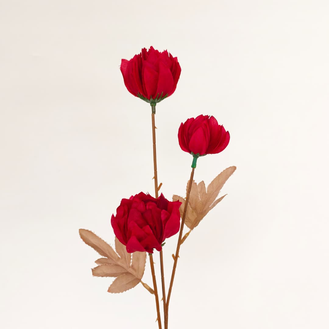 Tagetes erecta x3 万寿菊 (67cm) | Tall Flowers