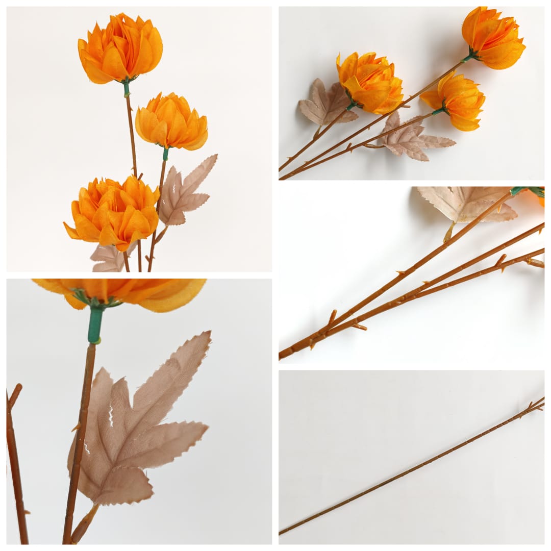 Tagetes erecta x3 万寿菊 (67cm) | Tall Flowers