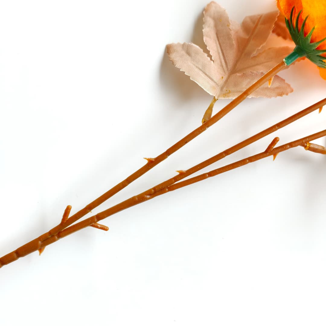 Tagetes erecta x3 万寿菊 (67cm) | Tall Flowers