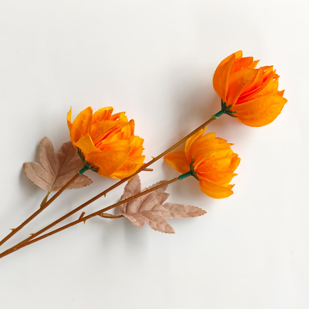 Tagetes erecta x3 万寿菊 (67cm) | Tall Flowers