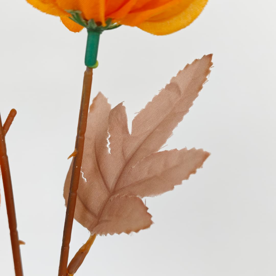 Tagetes erecta x3 万寿菊 (67cm) | Tall Flowers
