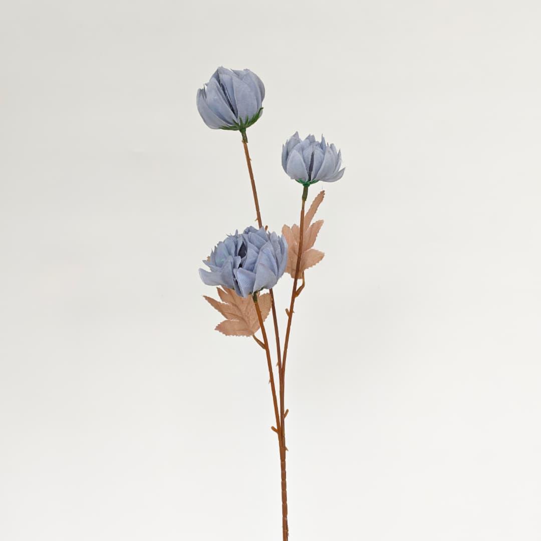 Tagetes erecta x3 万寿菊 (67cm) | Tall Flowers