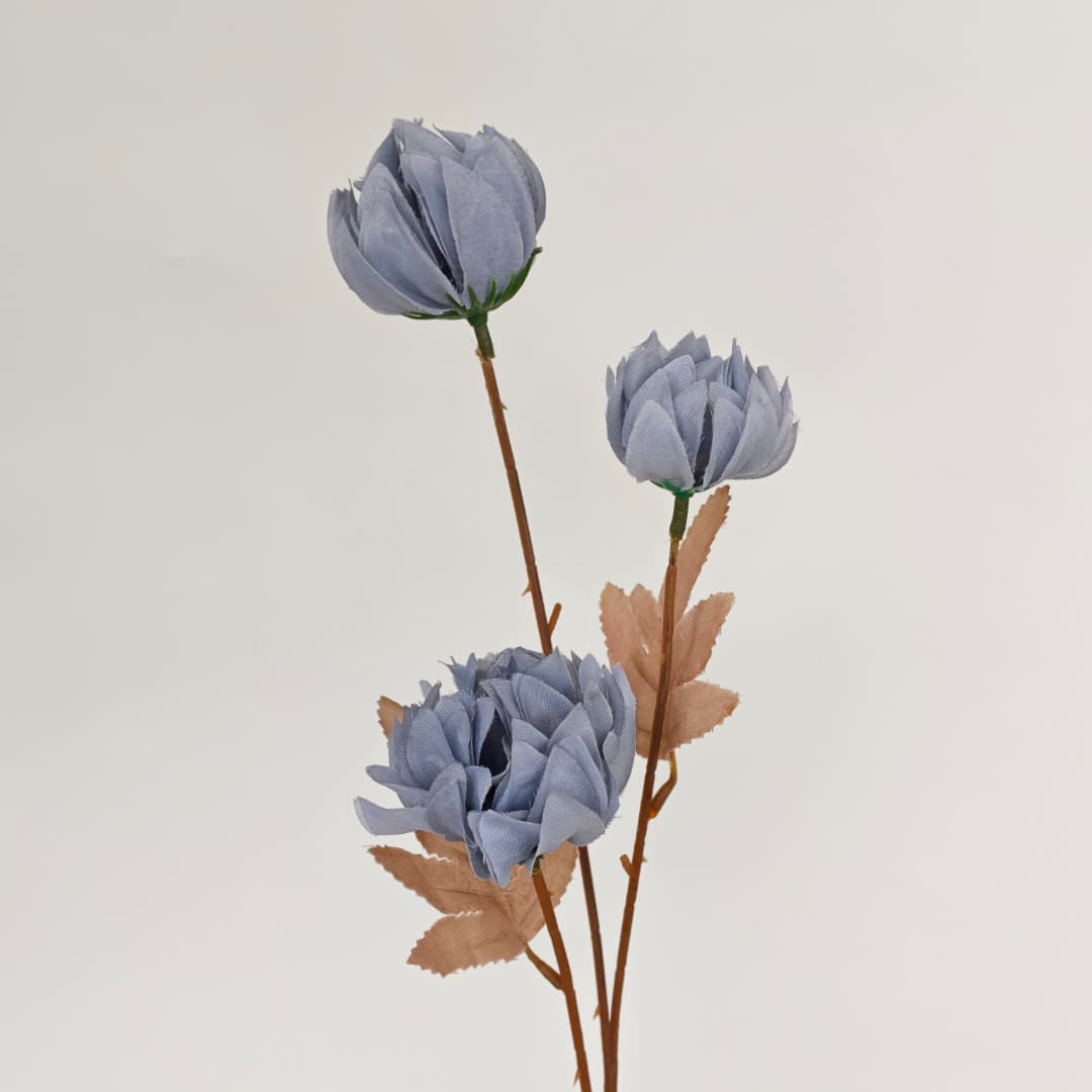 Tagetes erecta x3 万寿菊 (67cm) | Tall Flowers