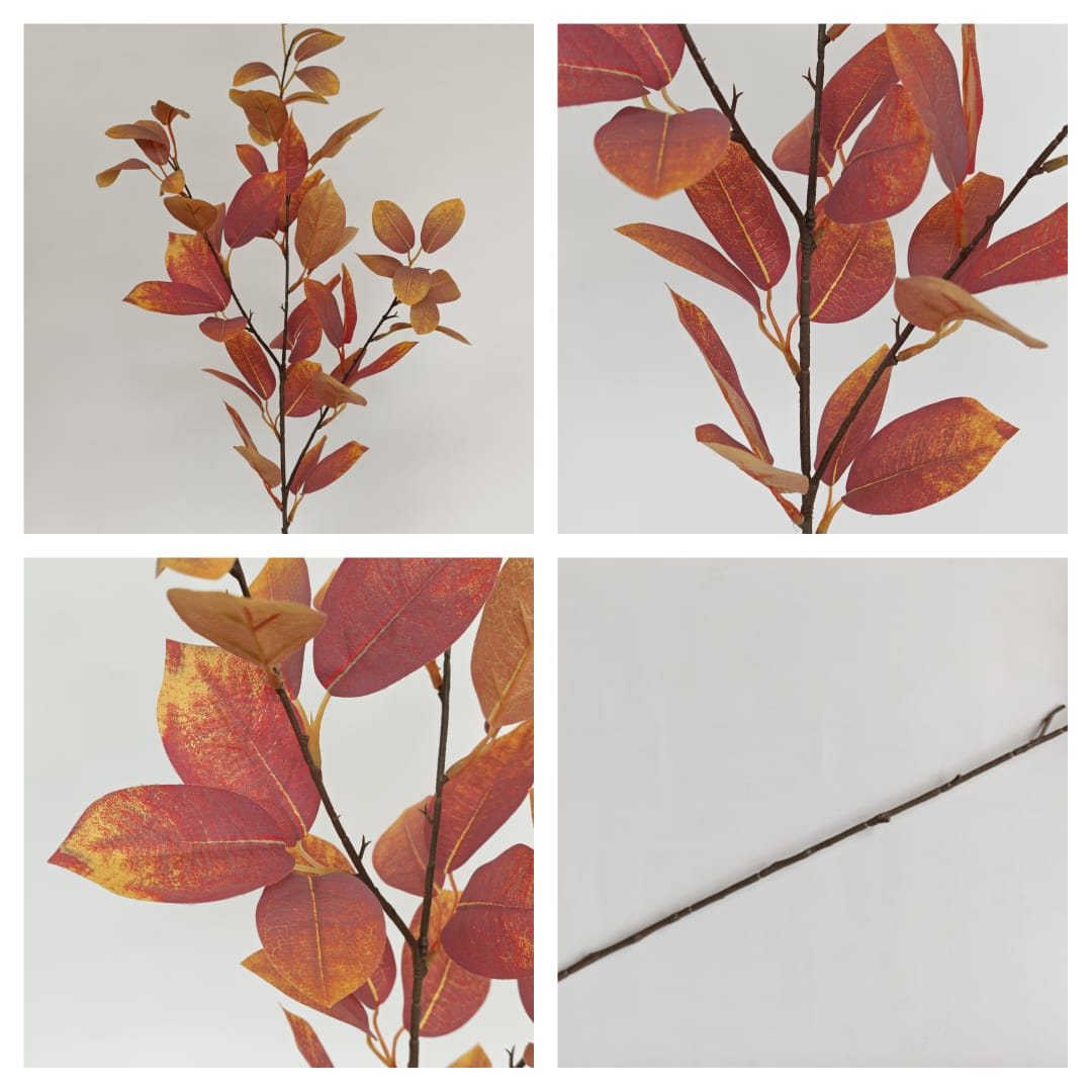 Sourwood (90cm)-Autumn | Tall Flowers