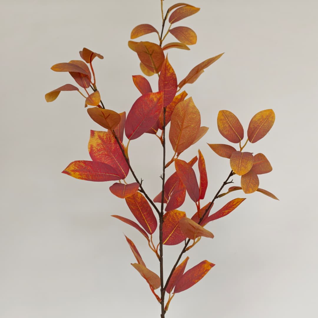 Sourwood (90cm)-Autumn | Tall Flowers