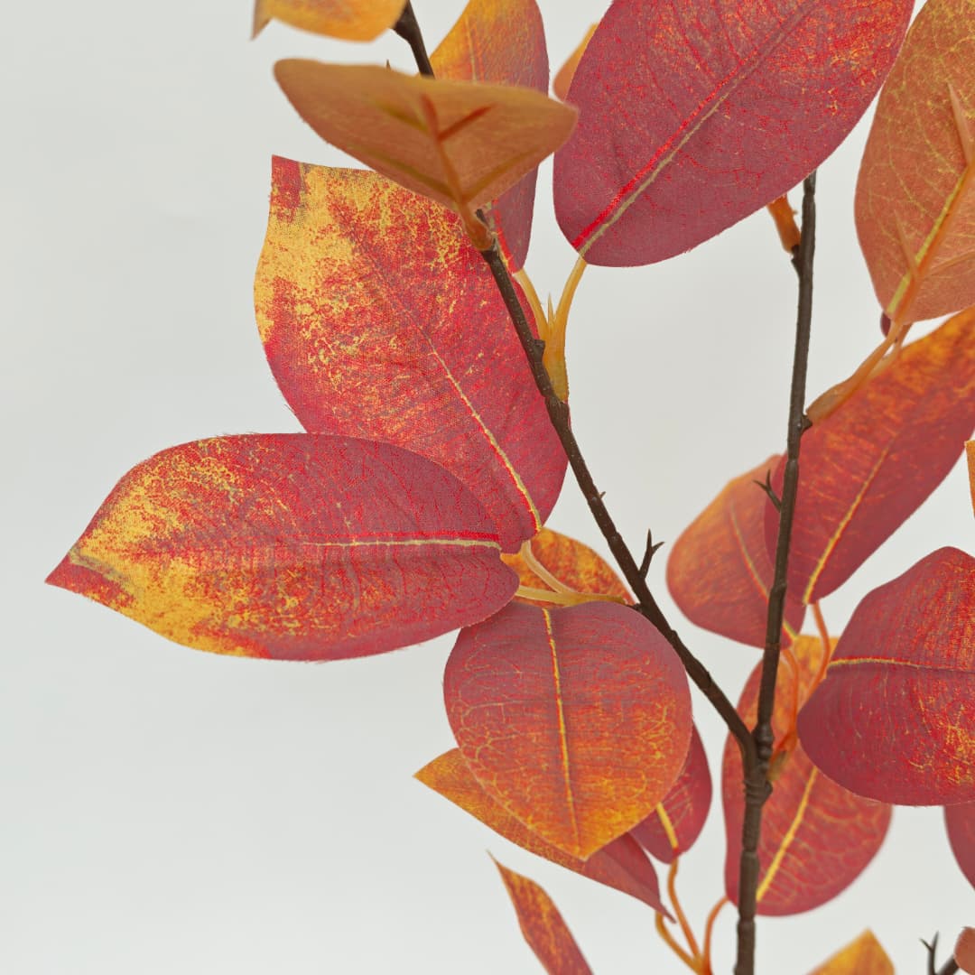 Sourwood (90cm)-Autumn | Tall Flowers