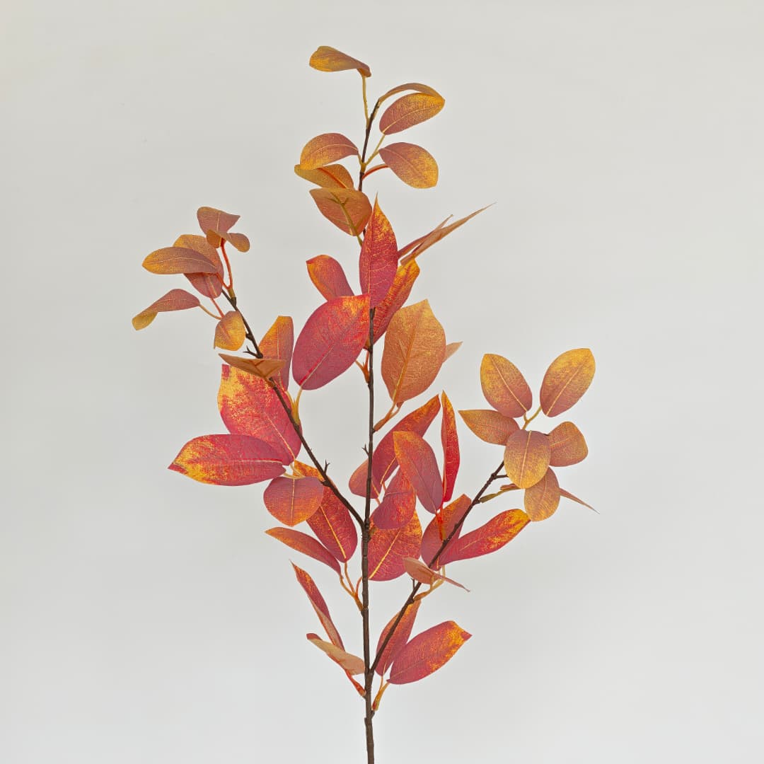 Sourwood (90cm)-Autumn | Flowers & Greenery