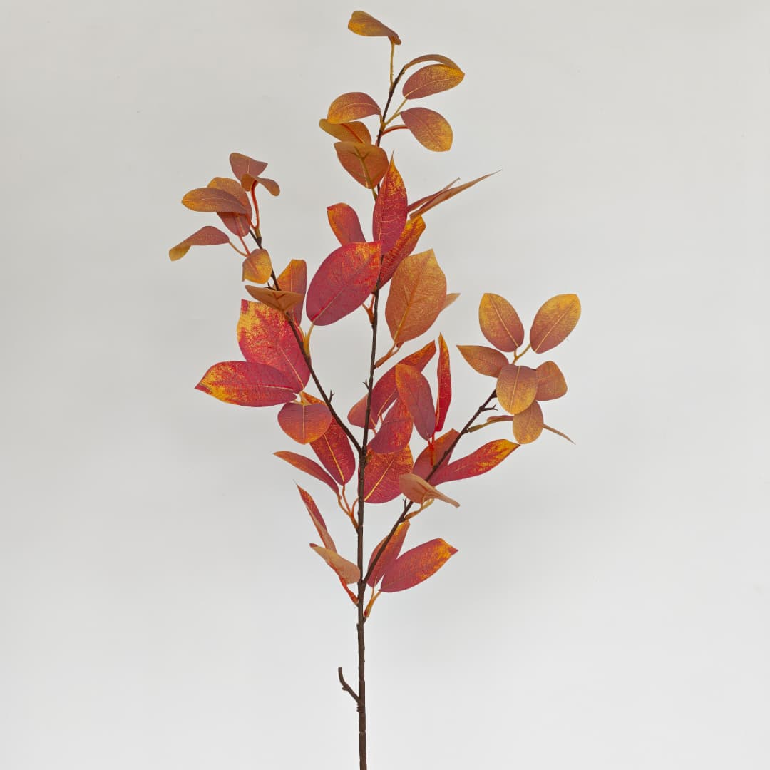 Sourwood (90cm)-Autumn | Tall Flowers