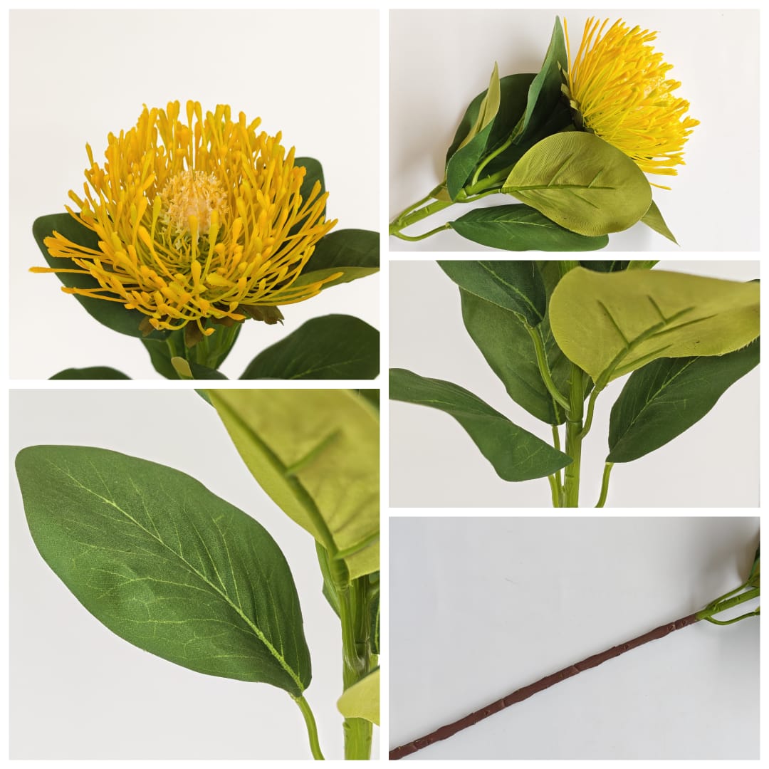 Single Protea Flower (64cm)-Yellow | Tall Flowers