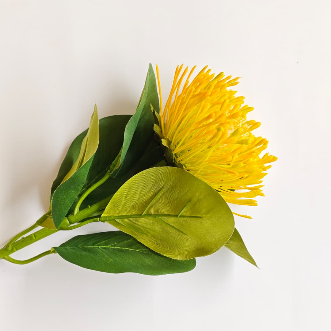 Single Protea Flower (64cm)-Yellow | Tall Flowers