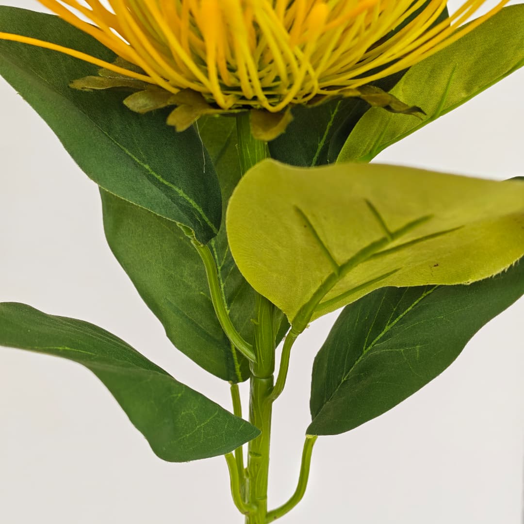 Single Protea Flower (64cm)-Yellow | Tall Flowers