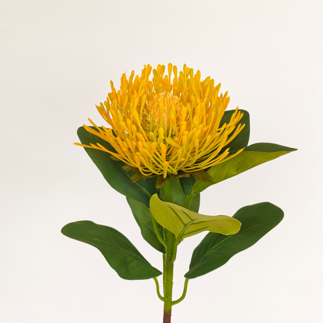 Single Protea Flower (64cm)-Yellow | 