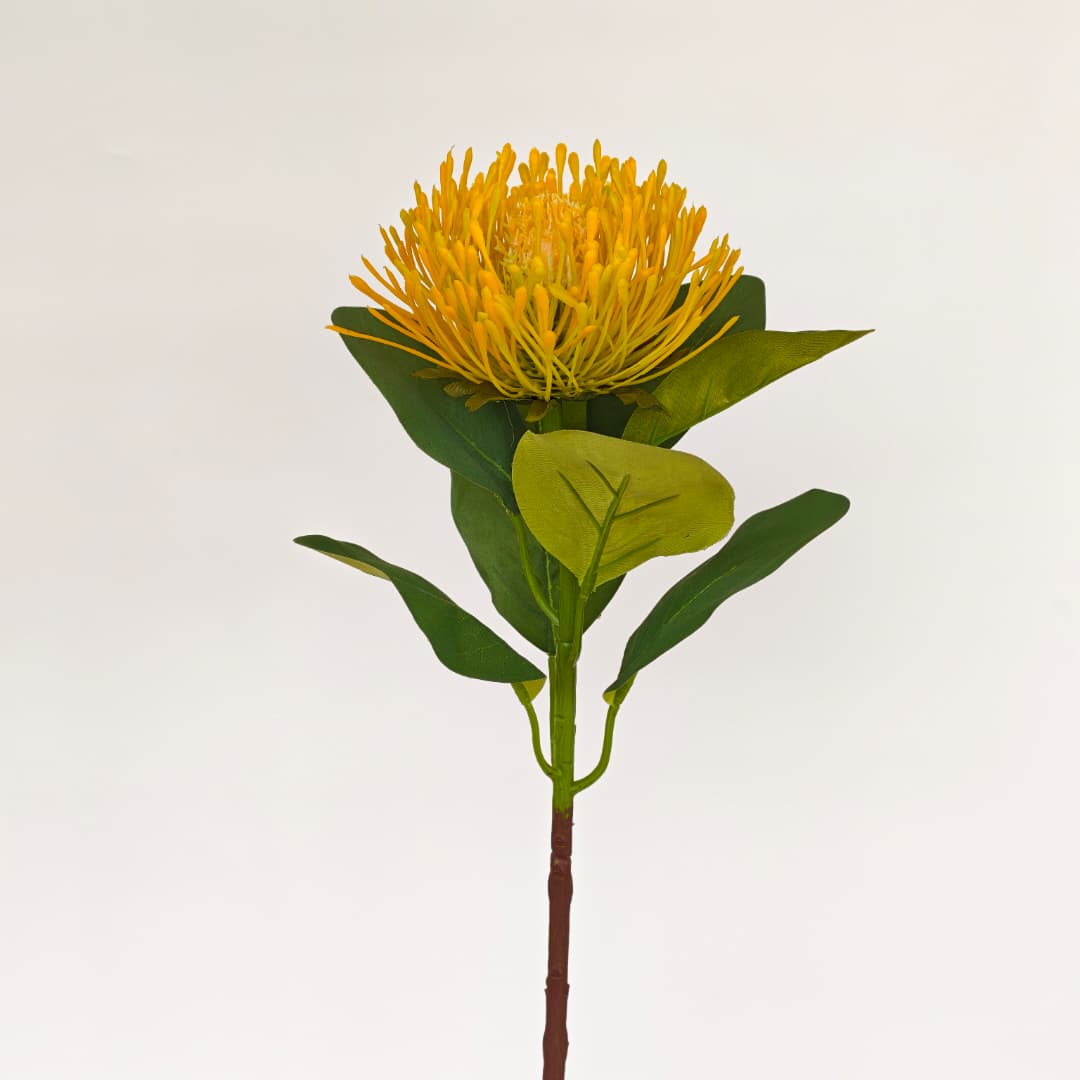 Single Protea Flower (64cm)-Yellow | Tall Flowers