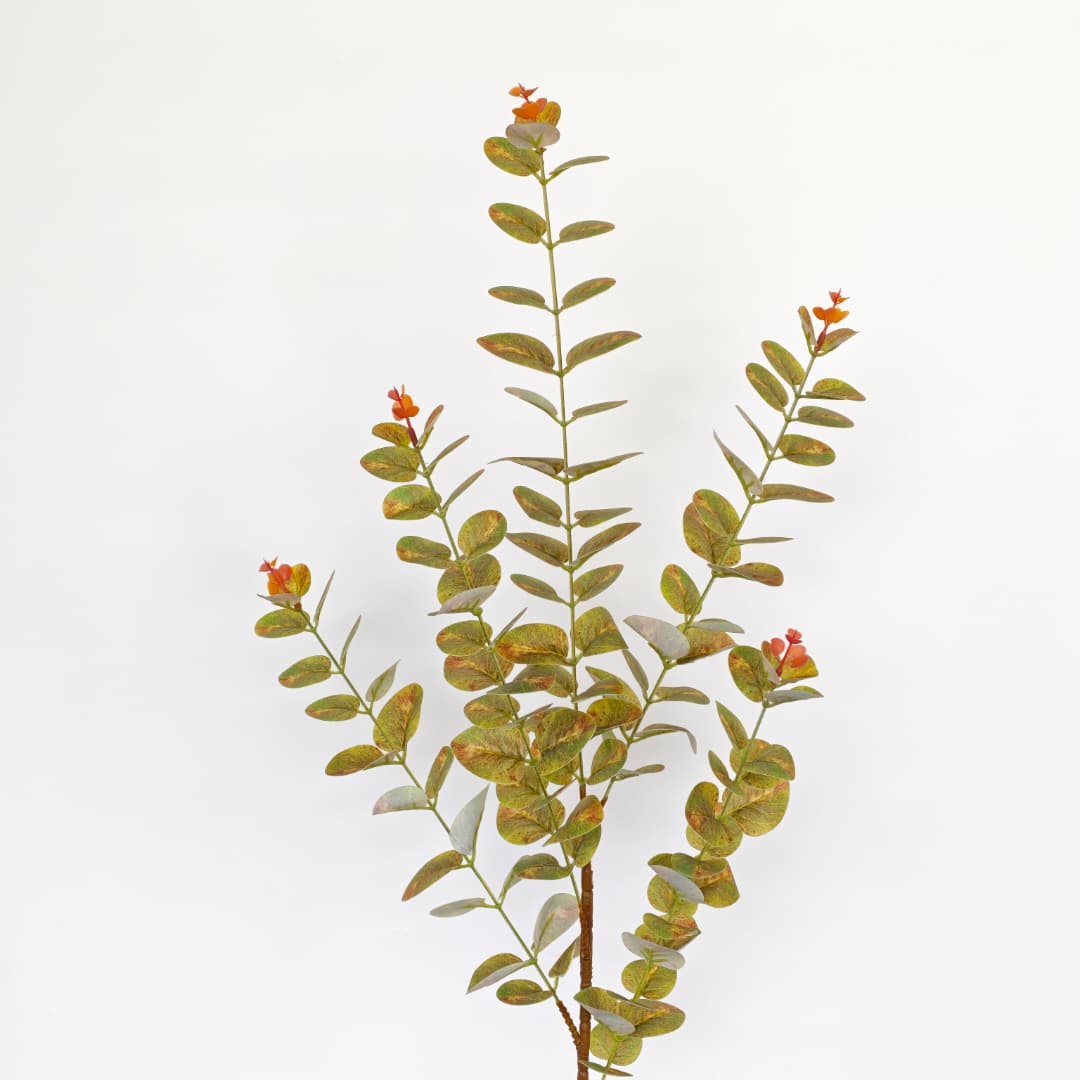 3D Eucalyptus | Tall Flowers