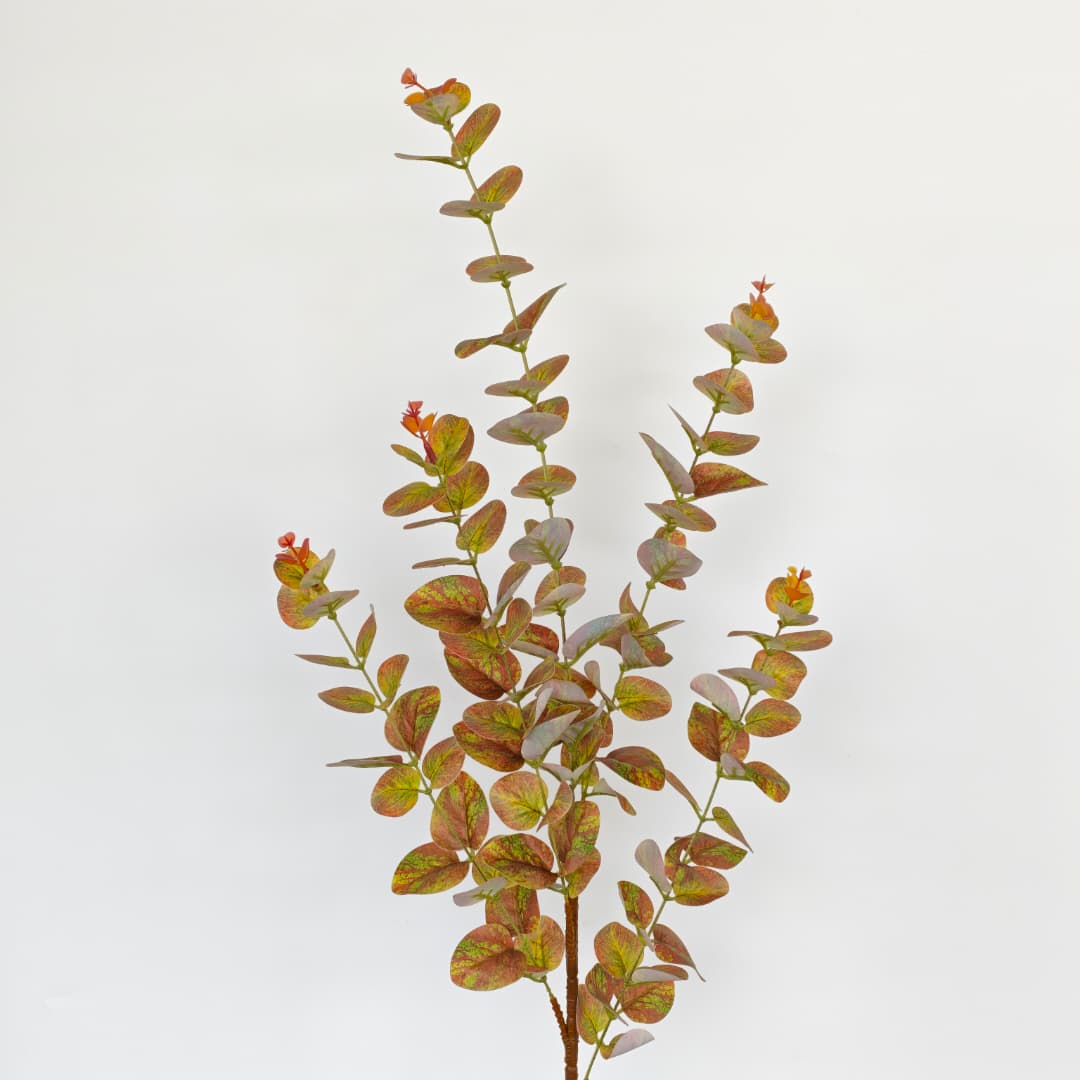 3D Eucalyptus | Tall Flowers