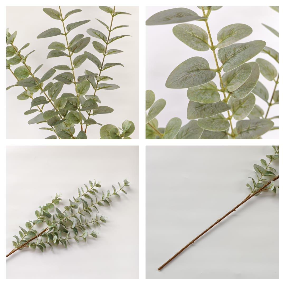 3D Eucalyptus | Tall Flowers