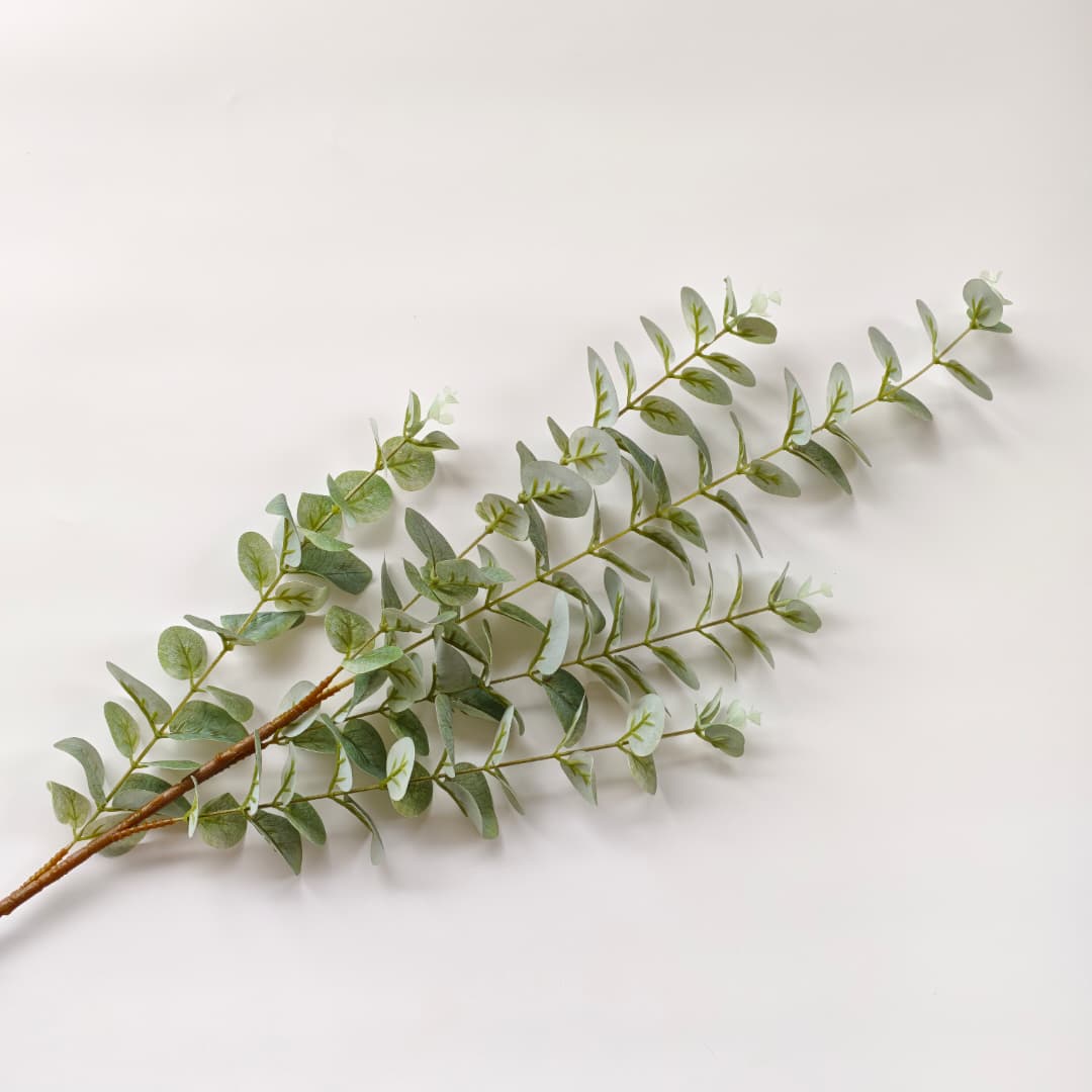 3D Eucalyptus | Tall Flowers
