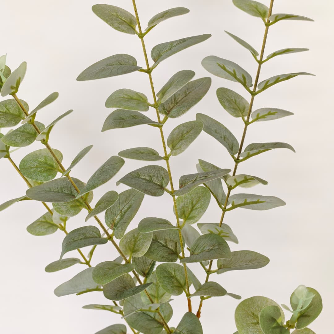 3D Eucalyptus | Tall Flowers