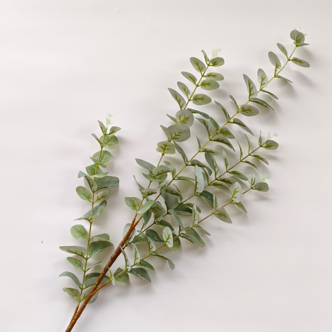 3D Eucalyptus | Tall Flowers