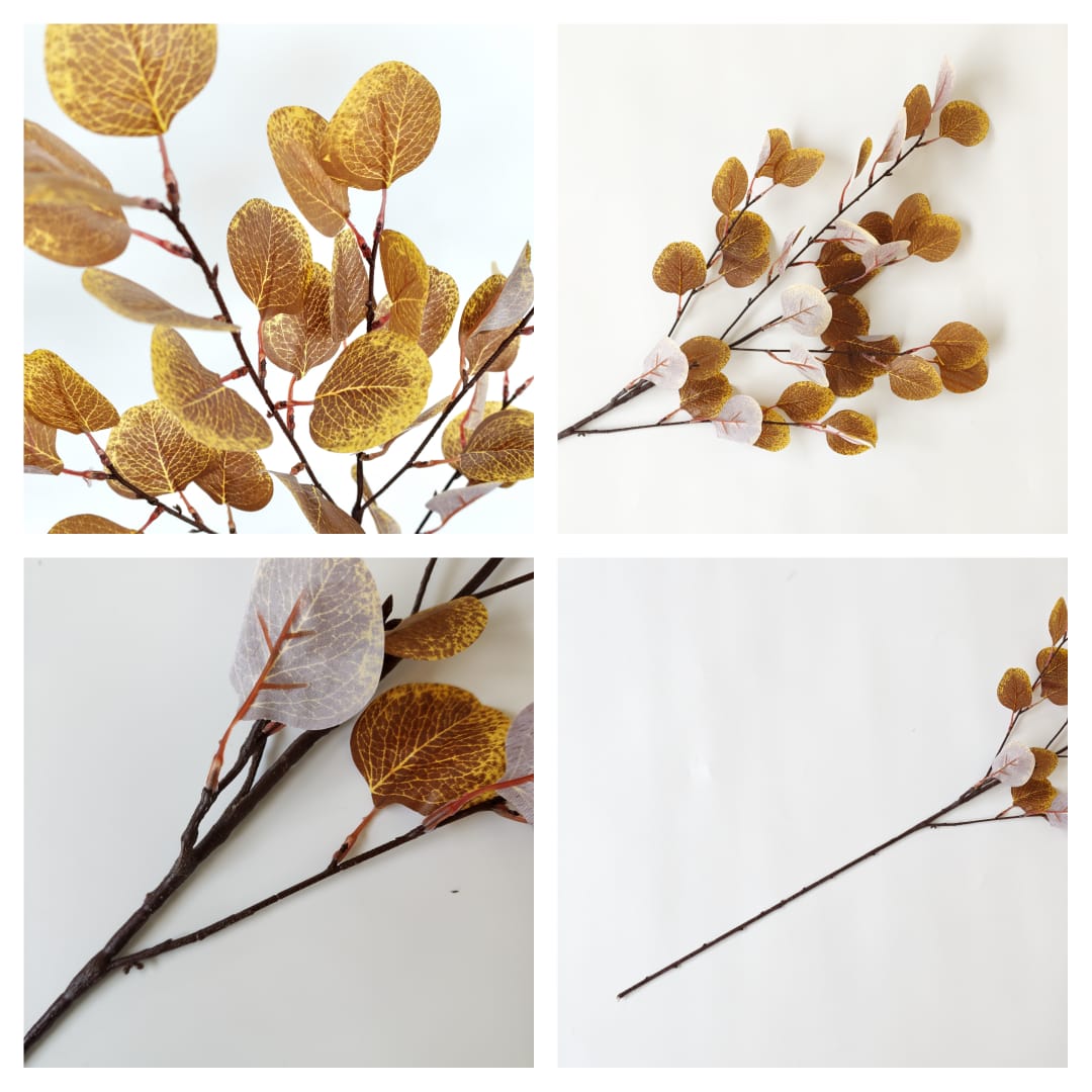 Eucalyptus Apple Leaf  | Fillers