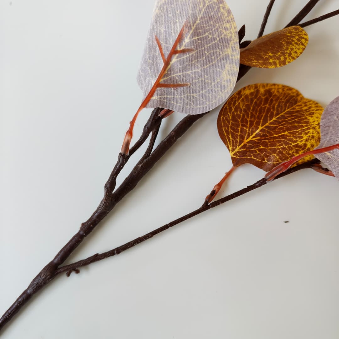 Eucalyptus Apple Leaf  | Fillers