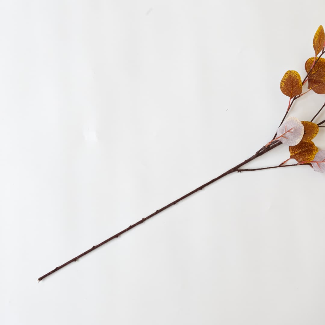 Eucalyptus Apple Leaf  | Fillers