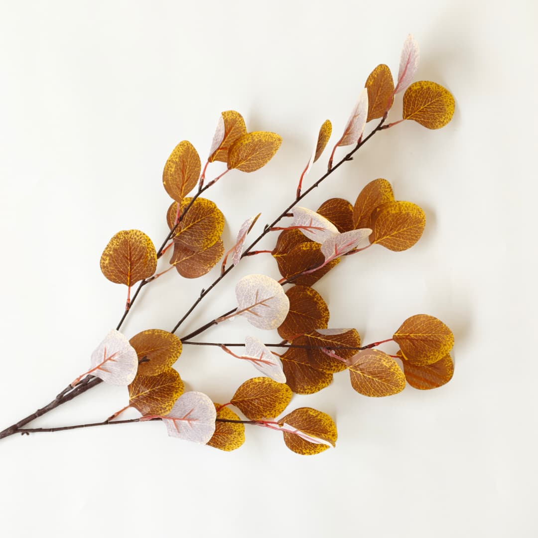 Eucalyptus Apple Leaf  | Fillers