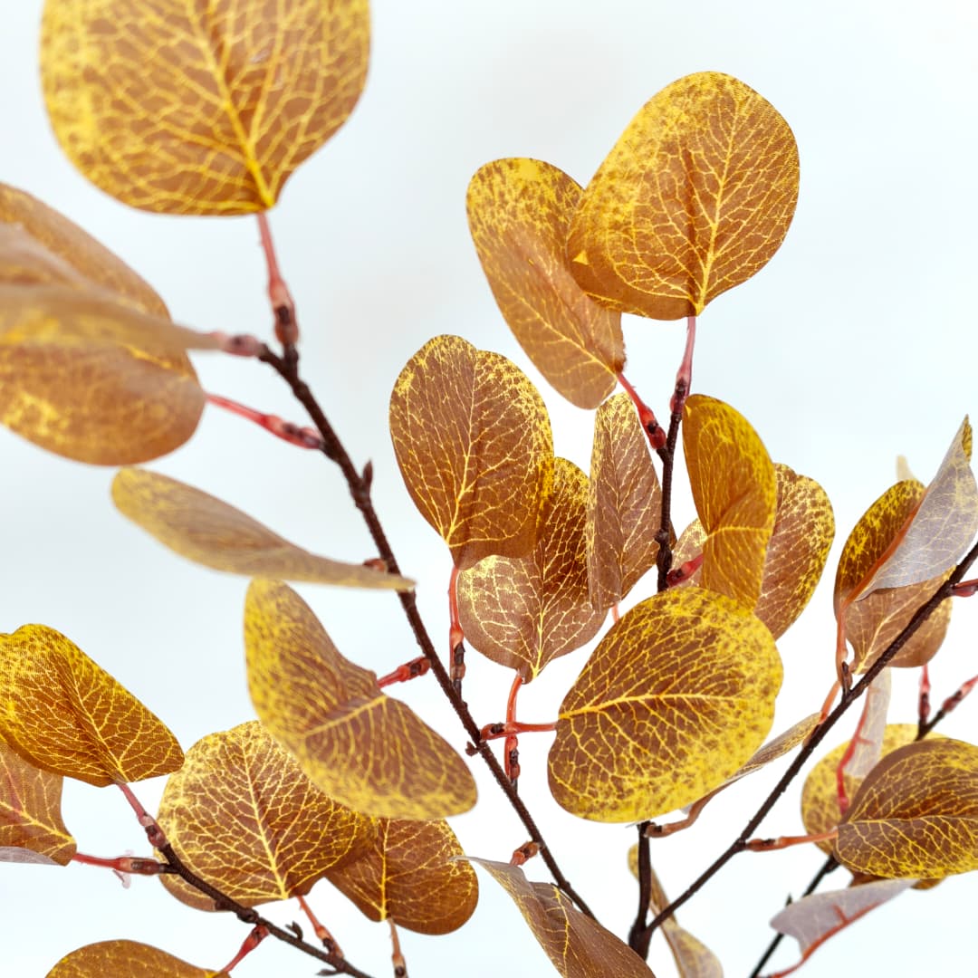 Eucalyptus Apple Leaf  | Fillers