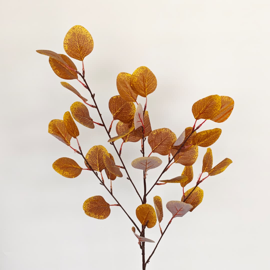 Eucalyptus Apple Leaf  | 