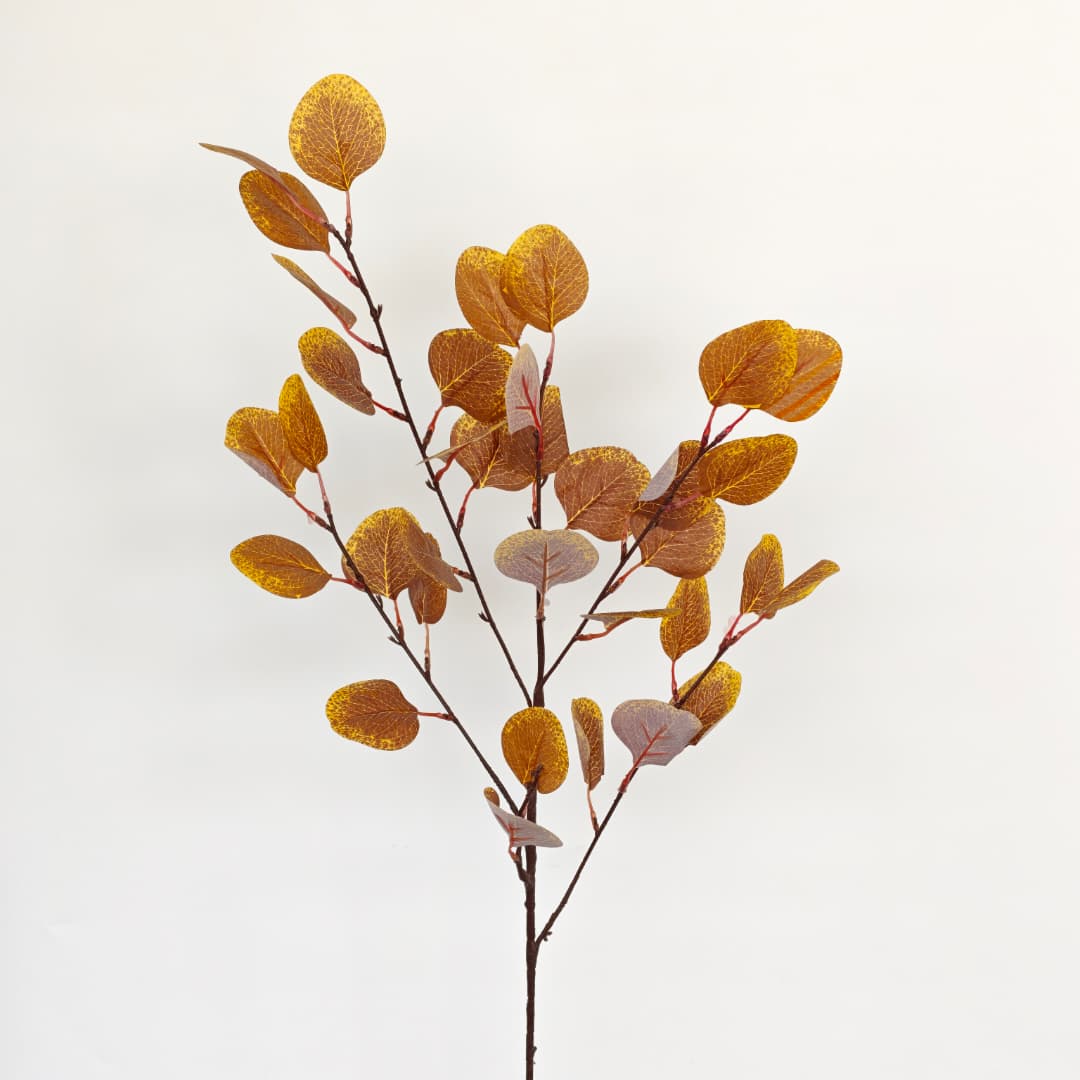 Eucalyptus Apple Leaf  | Fillers