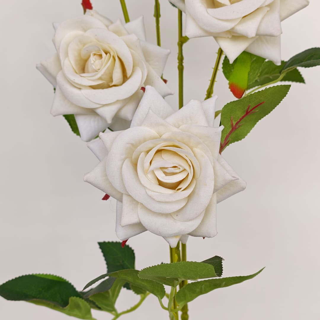 4 Heads Rose flower 玫瑰花-Cream (92cm) | Tall Flowers