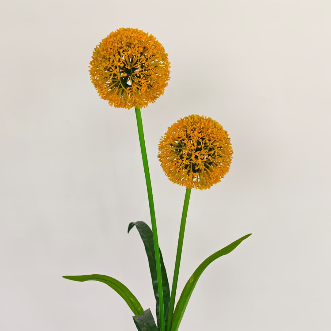 2 Heads Onion Ball 葱球 (86cm) | Tall Flowers