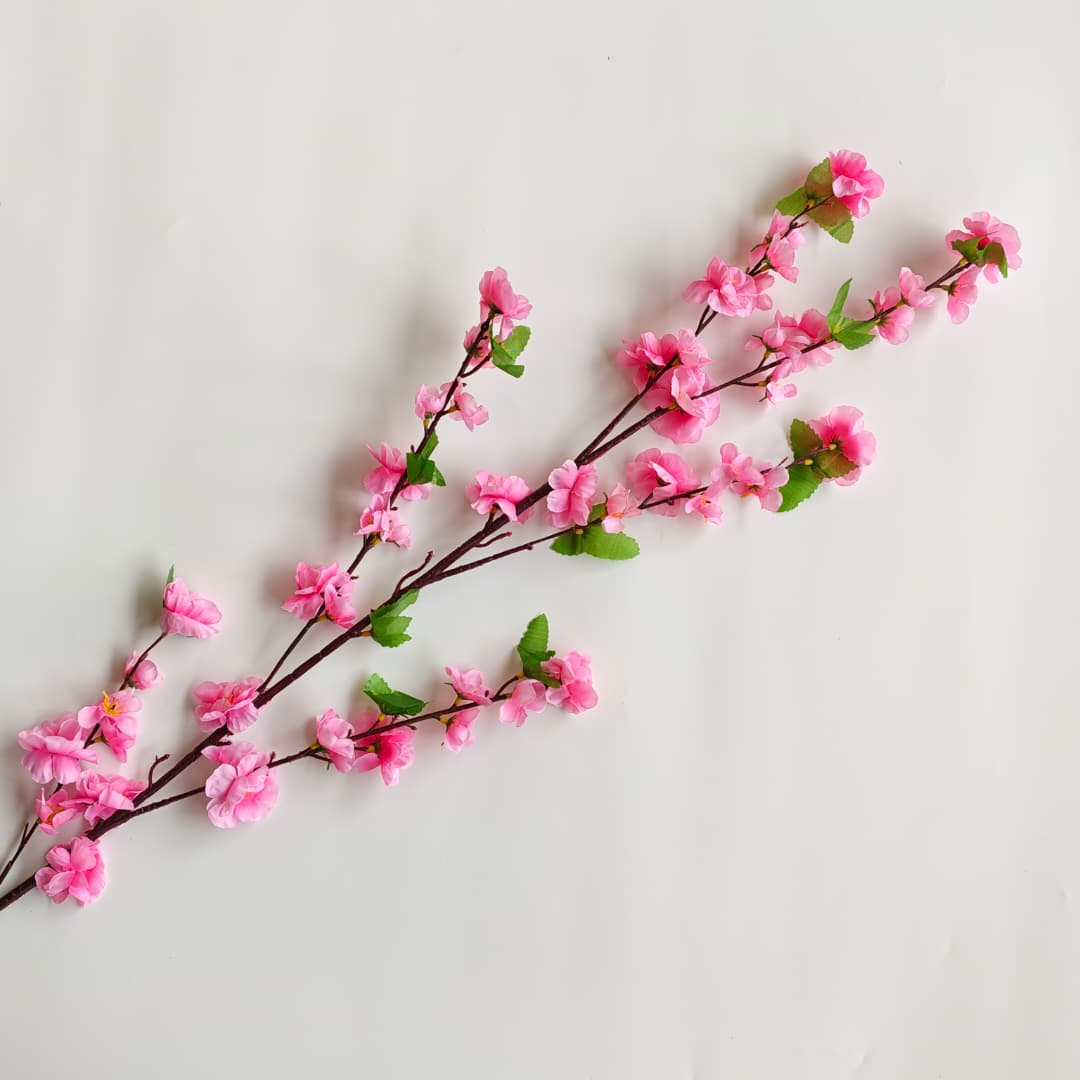 Peach Blossom 桃花枝 | Tall Flowers