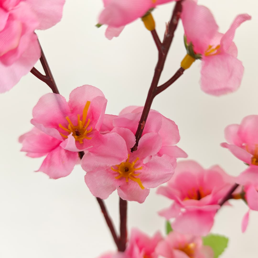 Peach Blossom 桃花枝 | Tall Flowers