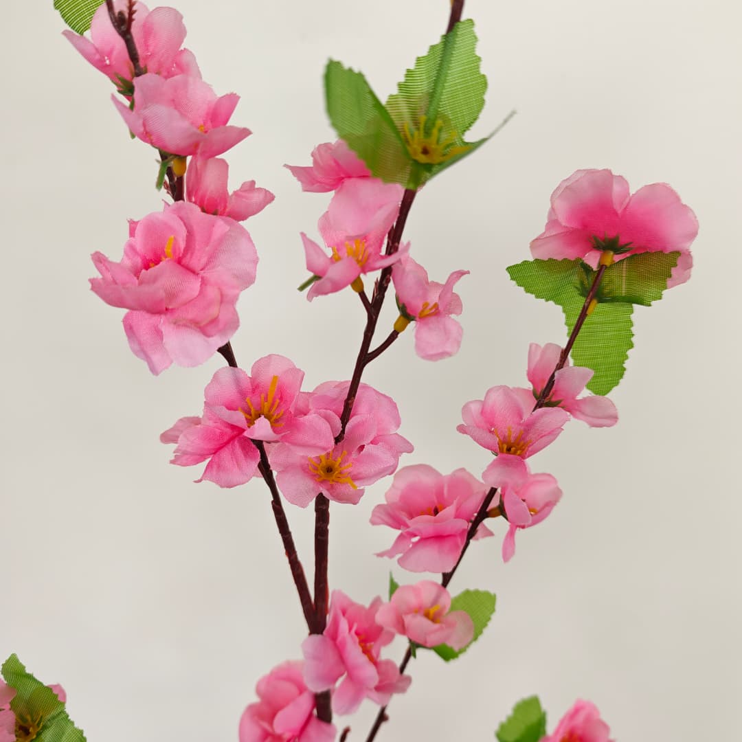 Peach Blossom 桃花枝 | Tall Flowers