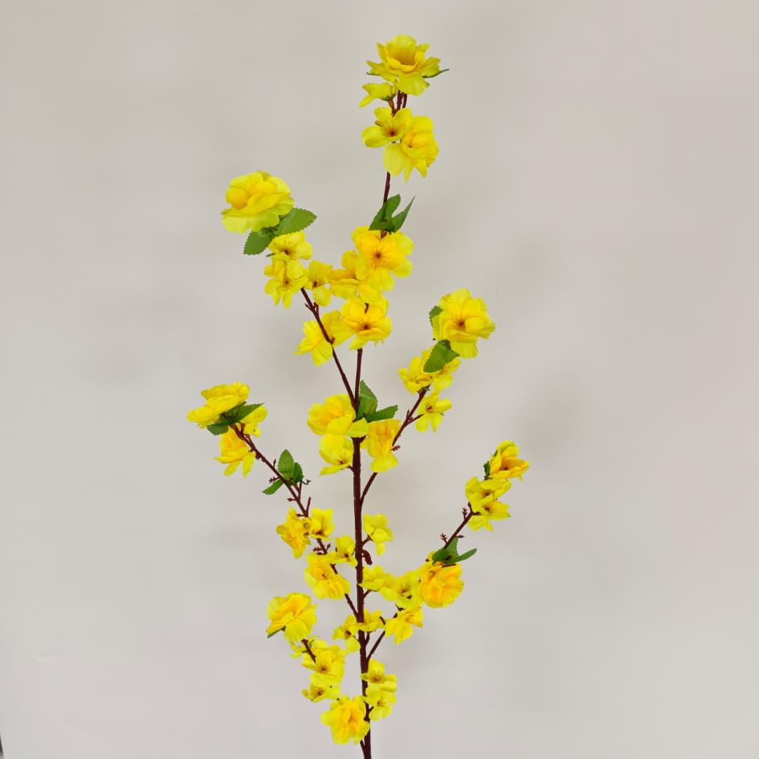 Peach Blossom 桃花枝 | Tall Flowers
