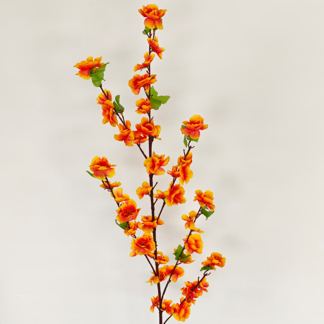 Peach Blossom 桃花枝 | Tall Flowers