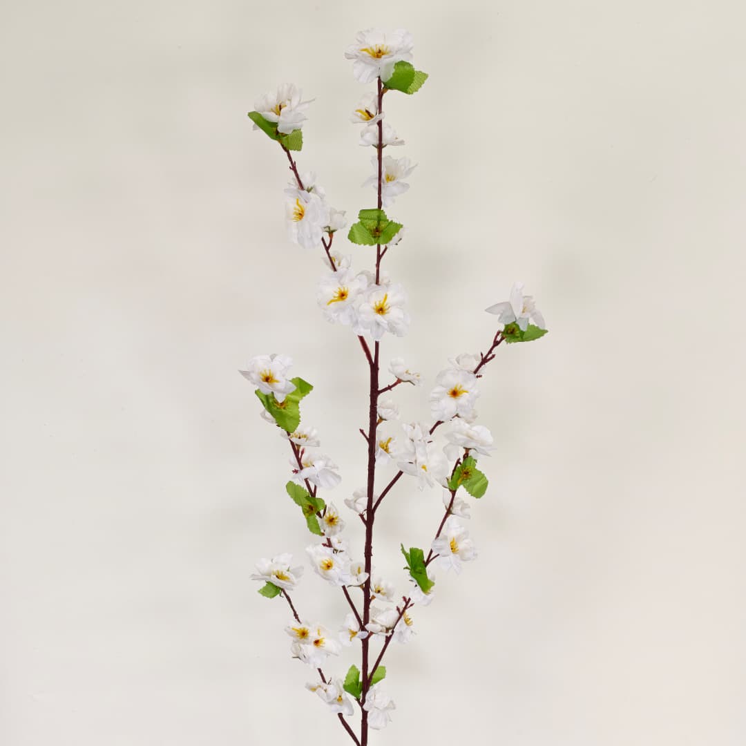 Peach Blossom 桃花枝 | 