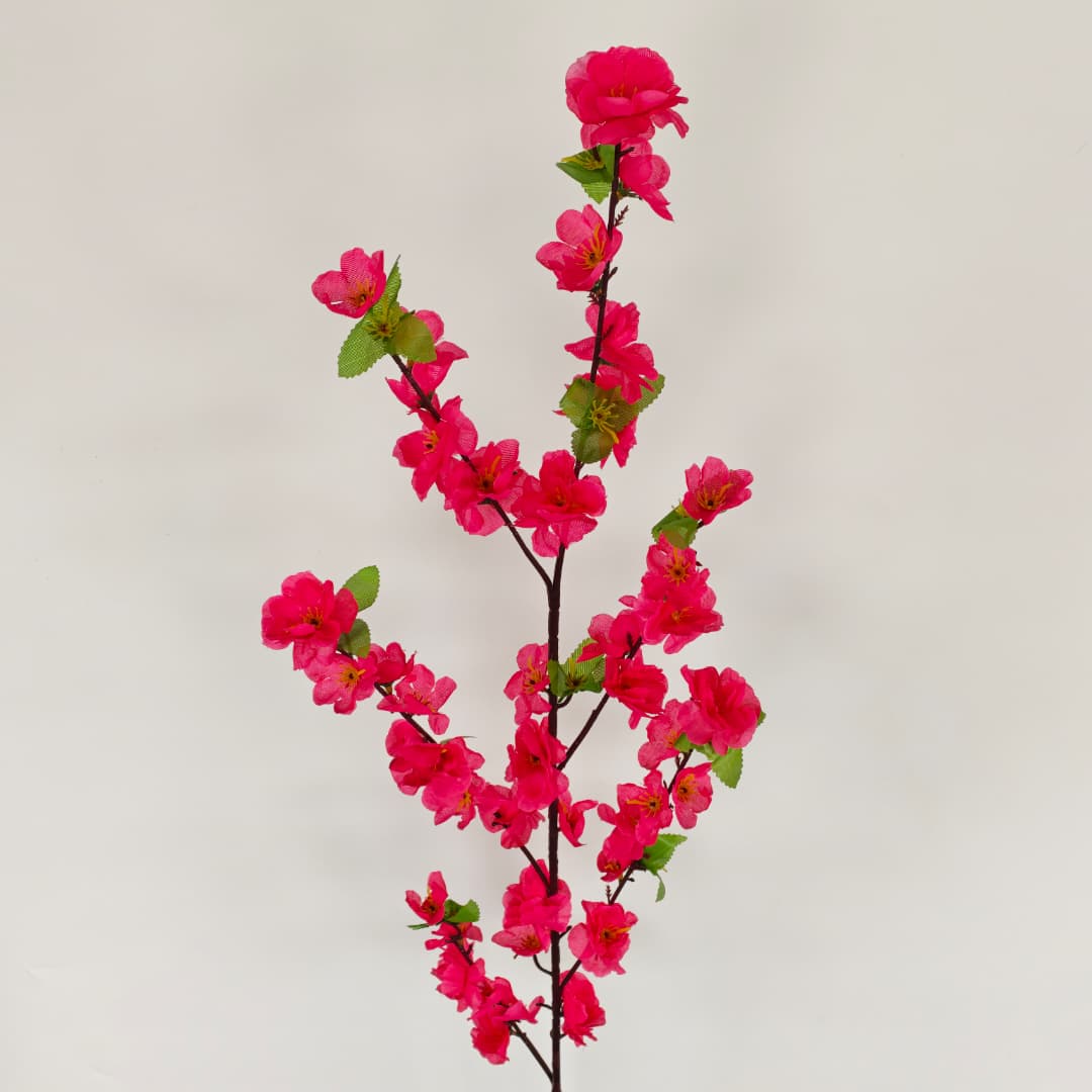Peach Blossom 桃花枝 | Tall Flowers