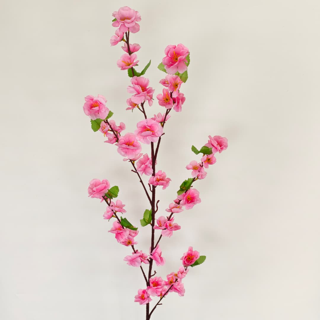 Peach Blossom 桃花枝 | Tall Flowers
